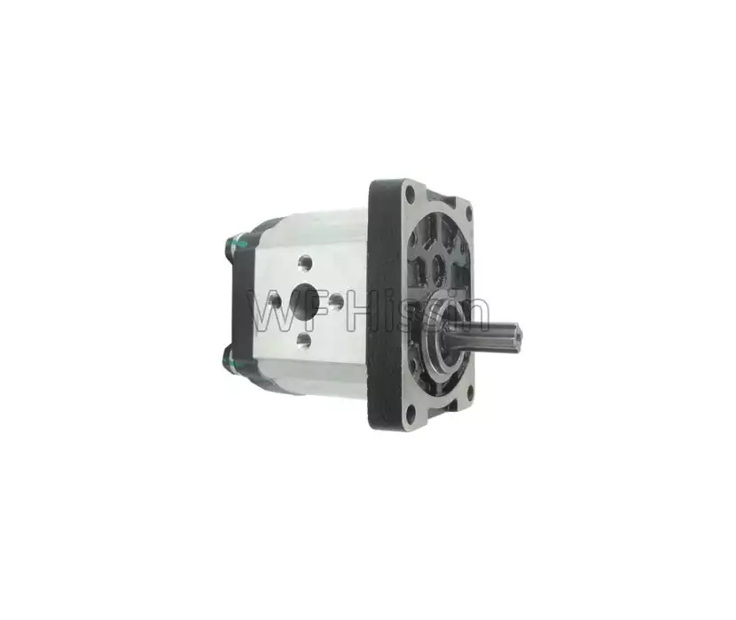 Gear pump FT650.58.010